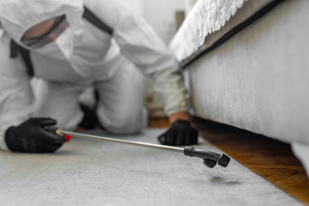 Professional Bed Bug Control technician working in Wentworth, NC