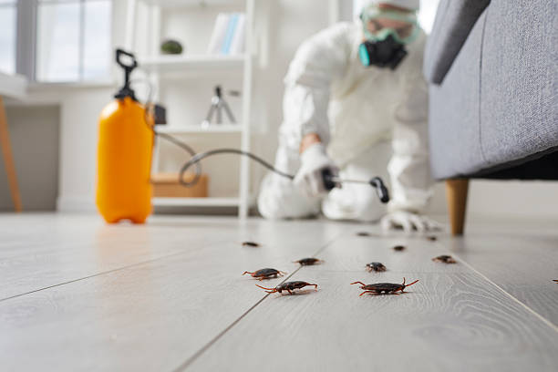 Trusted Termite Control service in Wentworth, NC - Nex Pest Control