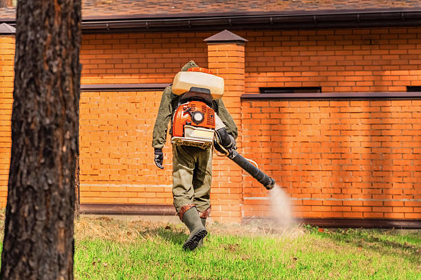 Trusted Ant Control service in Wentworth, NC - Nex Pest Control